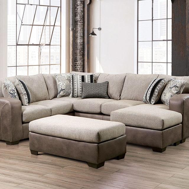 ASHENWEALD Sectional image